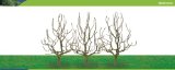 Hornby R8940 Deciduous 100mm Pk 3 00 Gauge Skale Scenics Tree Armatures