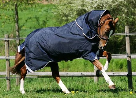 horseware - rambo Horseware Rambo Duo - 5`6