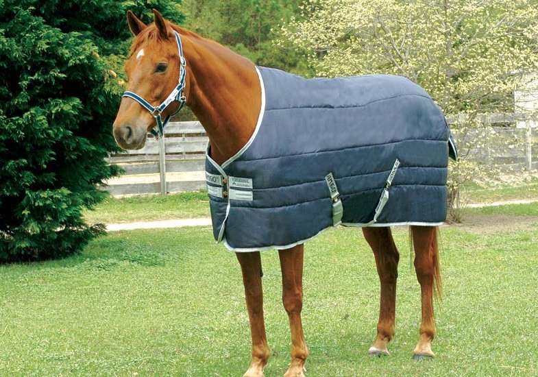 horseware amigo Amigo Insulator Heavy - 6`3 - Navy/Navy and White