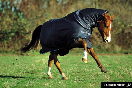 horseware amigo Amigo Turnout Medium w/la reflec - 5`6`` -