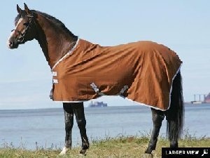 Amigo Pony Summer Sheet/Travel Rug