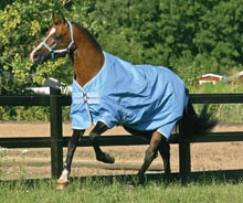 Horseware Amigo Summer Turnout Azure Blue/Baby