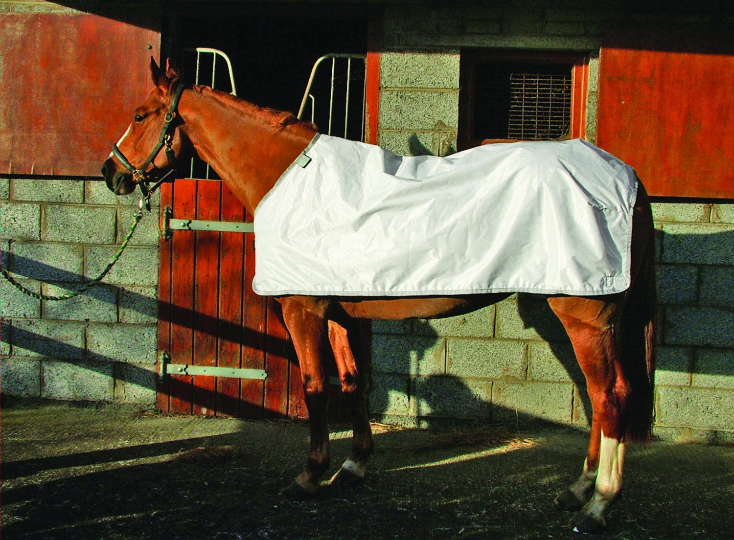 Horseware Fly Rug Liner (White) - 5`6