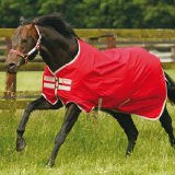 Horseware Ireland Amigo 600D Lite Turnout, Red/Pummice, 7ft