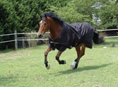 horseware rambo Rambo Exel Turnout Lite (Clearance)