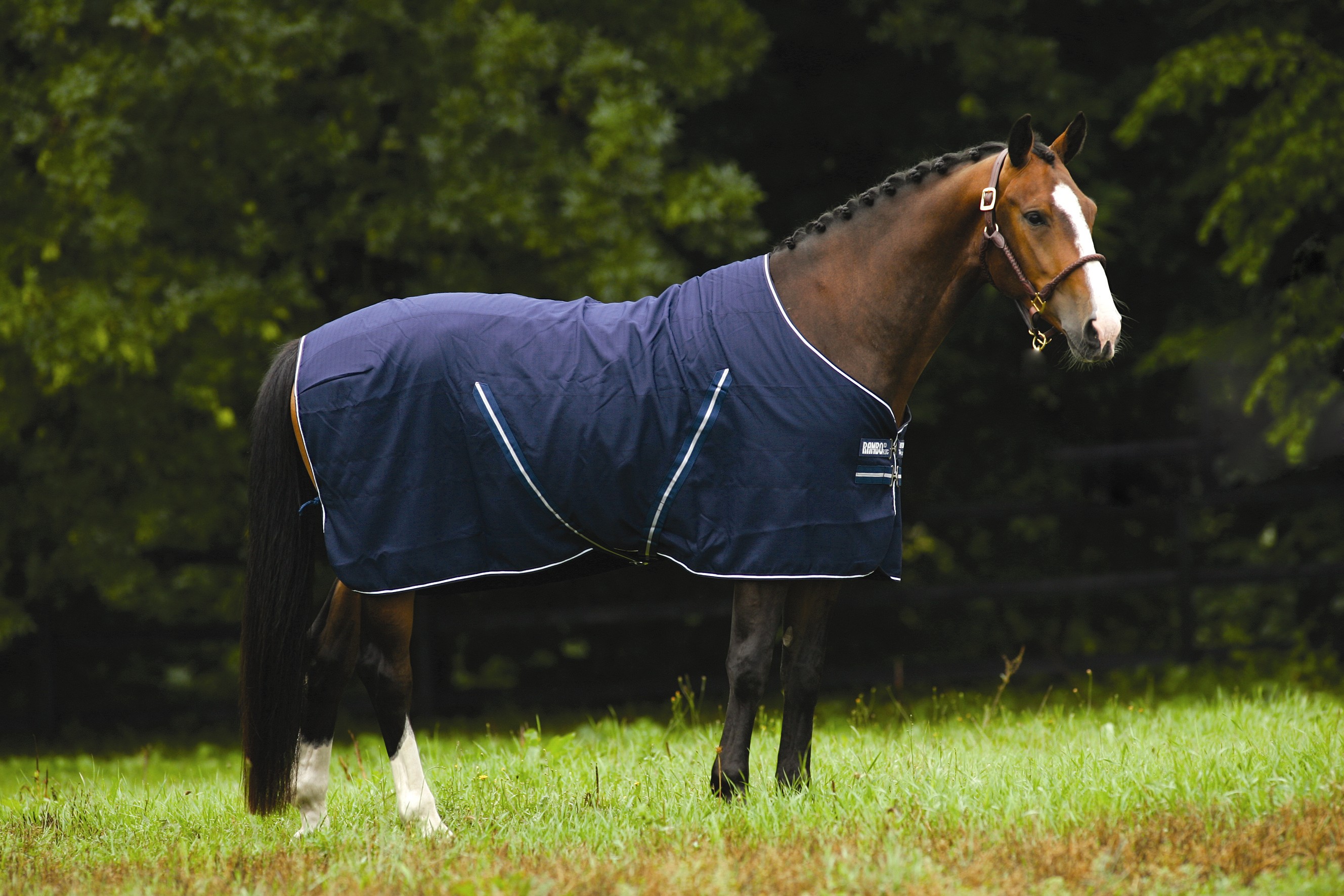 Rambo Summer Sheet/Travel Rug Clearance