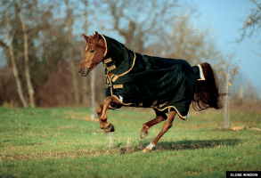 HORSEWARE Rambo Supreme Turnout Heavy 5`9 Horse