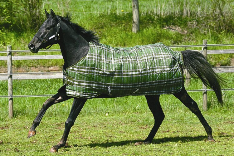 Horseware Rhino Original Turnout Lite Olive Tartan