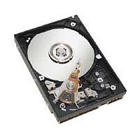 HP 250GB SATA 2 (3Gb/s) RoHS Hard Drive