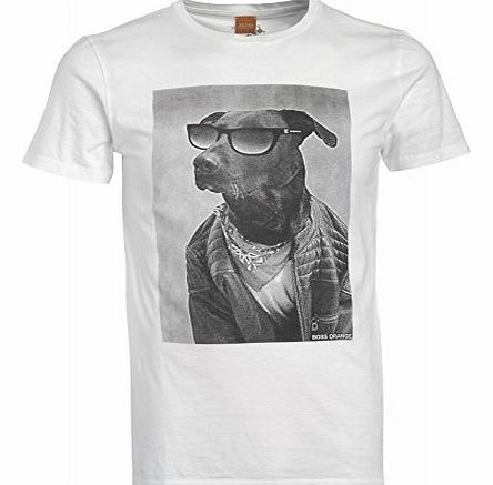 Orange T-Shirt, White Touchdown 3 Dog in Sunglasses Tee White 3XL