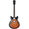 AS73BS Brown Sunburst