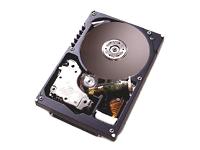 IBM 08K0362 146Gb 10-000RPM 3.5 HDD