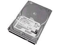 ibm Dual Port - hard drive - 750 GB - SATA-300