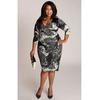 Skye Plus Size Dress in