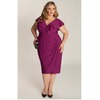 Thera Plus Size Dress in