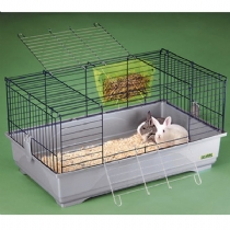 Cavia Easy 100