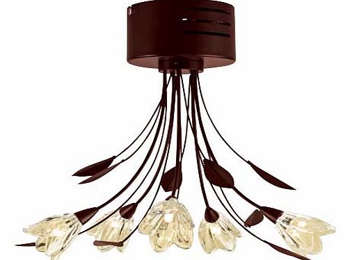 Inspire Mya Chocolate 5 Light Ceiling Fitting