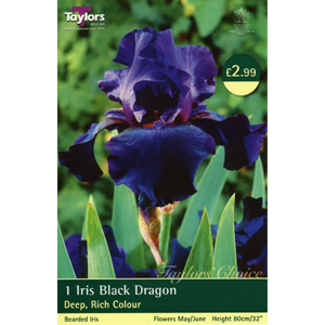 Black Dragon Bulb