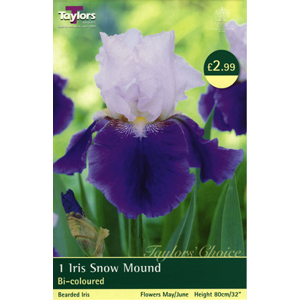 Snow Mound Bulb