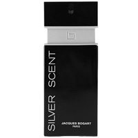 Silver Scent - 100ml Eau de Toilette Spray