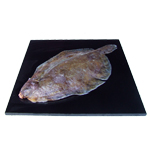 James Knight of Mayfair Lemon Sole