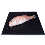 Red Mullet