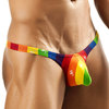 Rainbow Tanga Thong Bulge 02