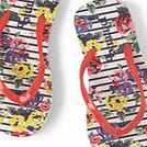 Johnnie  b Flip Flops, Multi Breton English Bloom 34606699