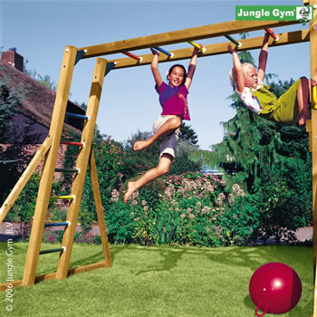 Jungle Gym Large Monkey Module