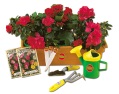 JUNIOR GROUND FORCE window box gardening set