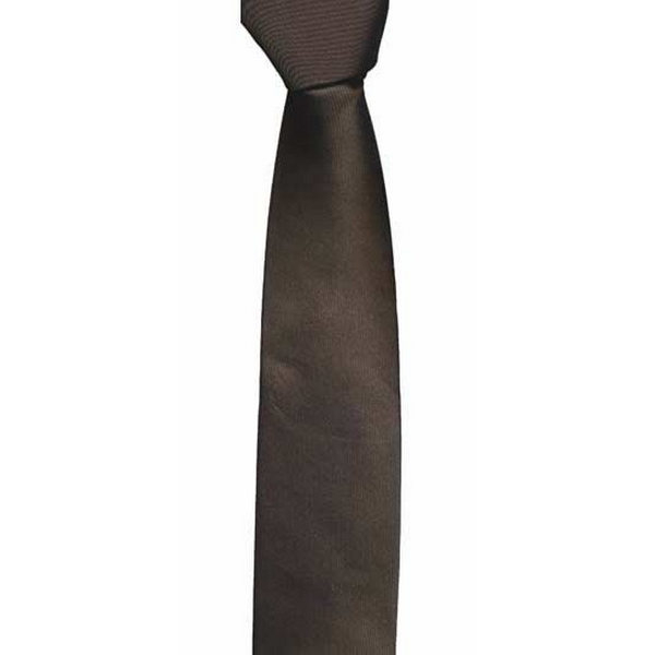 Coffee Brown Skinny Tie by