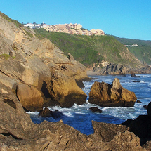 Knysna and Plettenberg Bay Tour - Private Tour