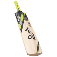 Blade Prodigy 80 Cricket Bat - H -