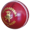 KOOKABURRA COUNTY MATCH CRICKET BALL (AK031)