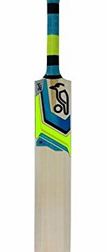 Kookaburra Verve Prodigy 40 Cricket Bat - Blue, Size 4