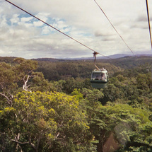 Kuranda Rail, Skyrail and Hartleys Crocodile