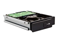 4big/5big Spare Drive - hard drive - 1.5 TB - SATA-300