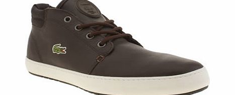 Lacoste Dark Brown Ampthill Terra Trainers