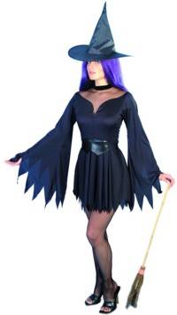 Costume: Sexy Witch (UK 8-10)