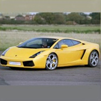 Lamborghini Gallardo Thrash - Stafford