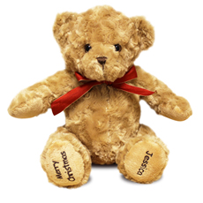 Personalised Teddy Bear