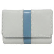 Camera Case White with Blue Stripe