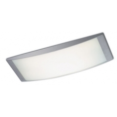 Alpen Low Energy Rectangular Ceiling Light