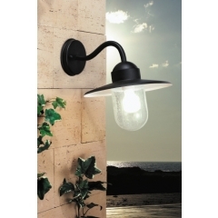 Triton Black Outdoor Wall Light