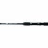 2XL 10ft Float Fishing Rod