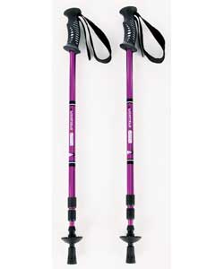 Lichfield Deluxe Anti Shock Walking Pole