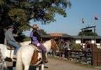 Lifestyle Horse Riding In the New Forest for Two