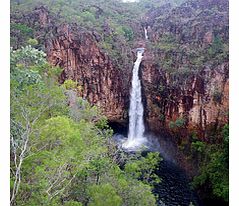 LITCHFIELD National Park Waterfalls Tour - Child