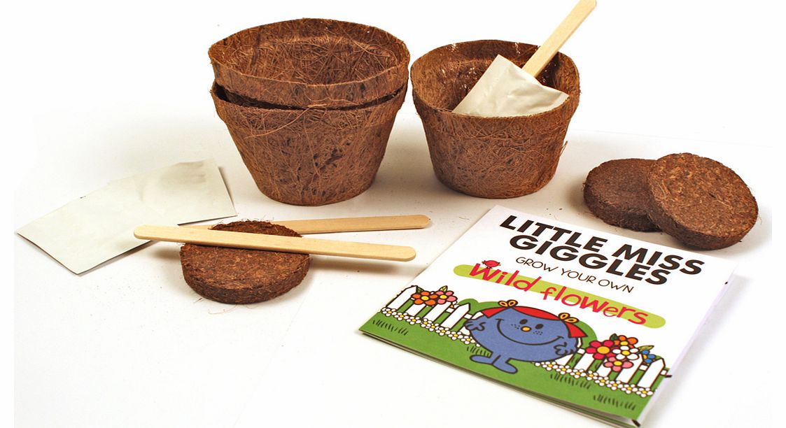 Little Miss Giggles Wild Flowers Grow Kit