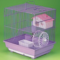 Littlewoods-Index hamster starter kit